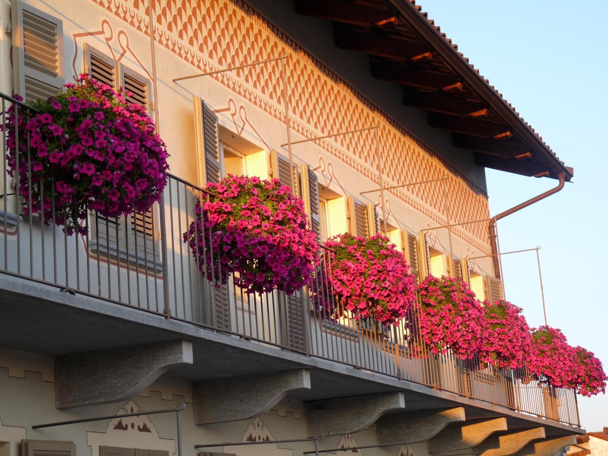 Casa Americani Montà Buitenkant foto